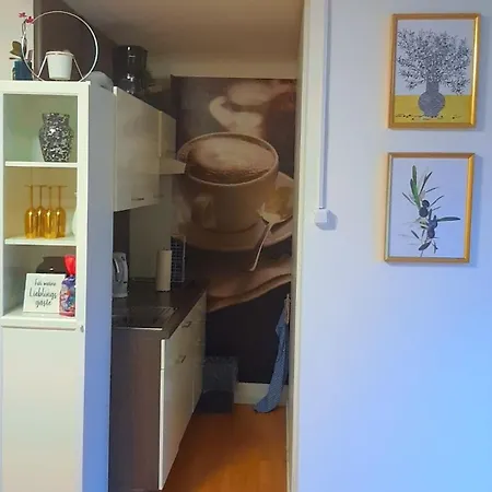 Dream Home-3zimmerwohnung, Großer Balkon, Gegenüber Der Kristall Therme Apartment Altenau (Lower-Saxony)